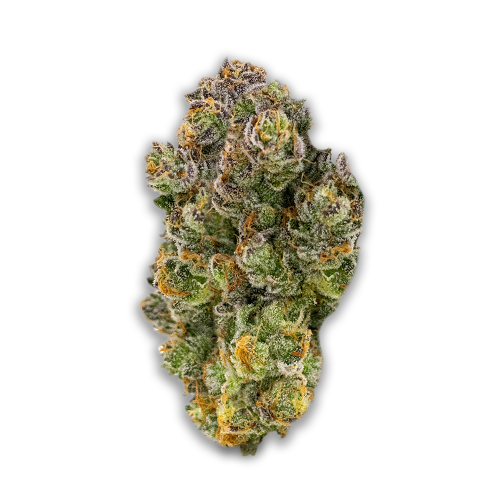 aleph red 30/1: Hokuzai