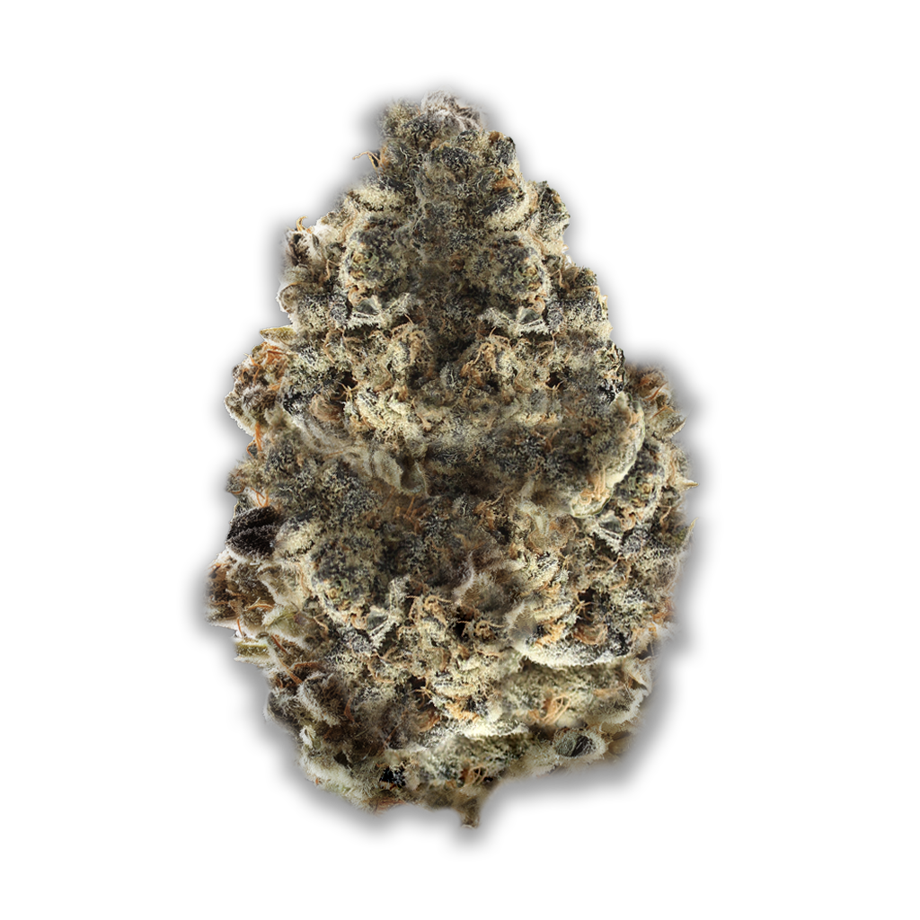 Cannabis flos 27/1 CSF Ku. Carnez Citric Canify