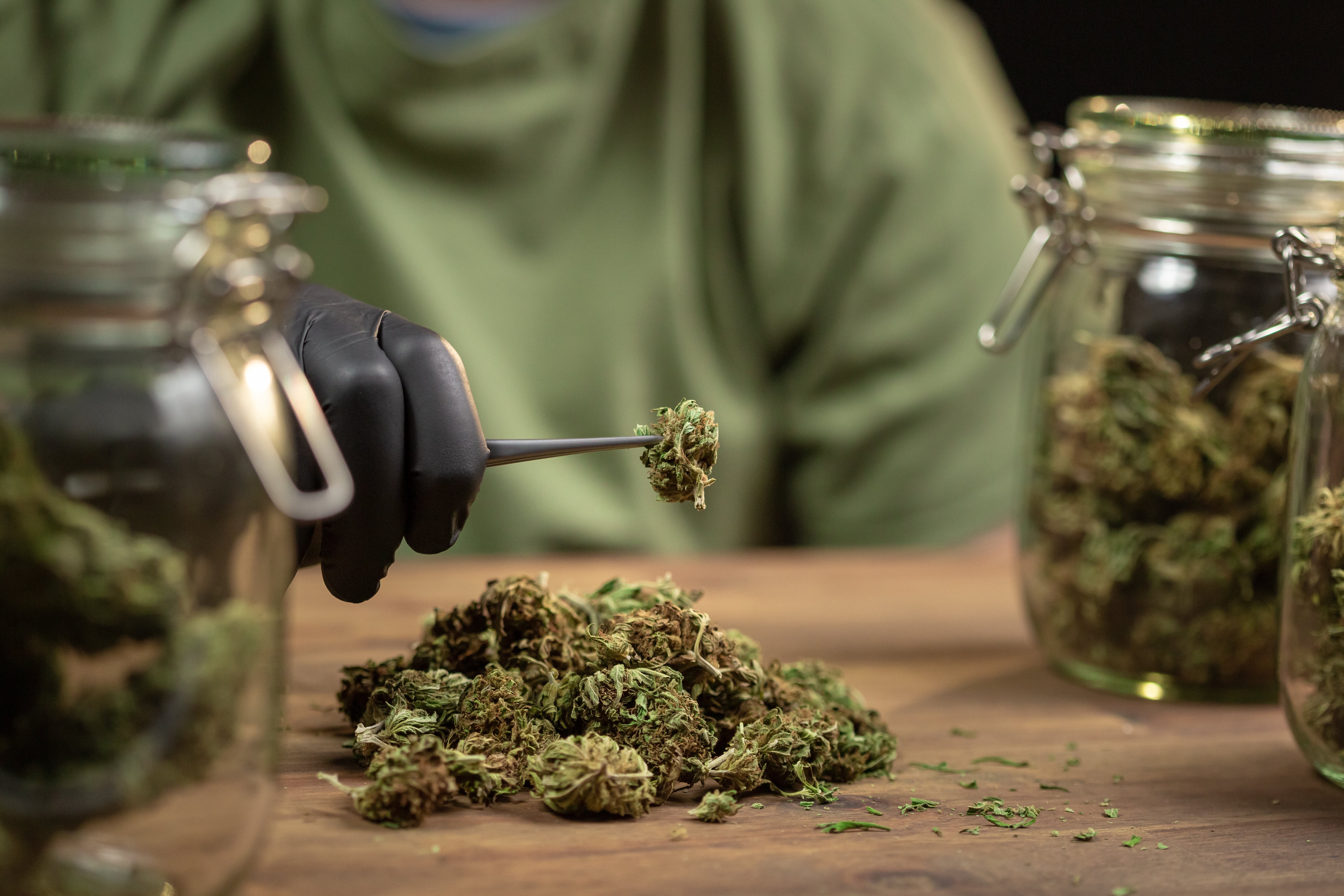 Cannabis-Anwendung: Formen, Wirkung & Therapie