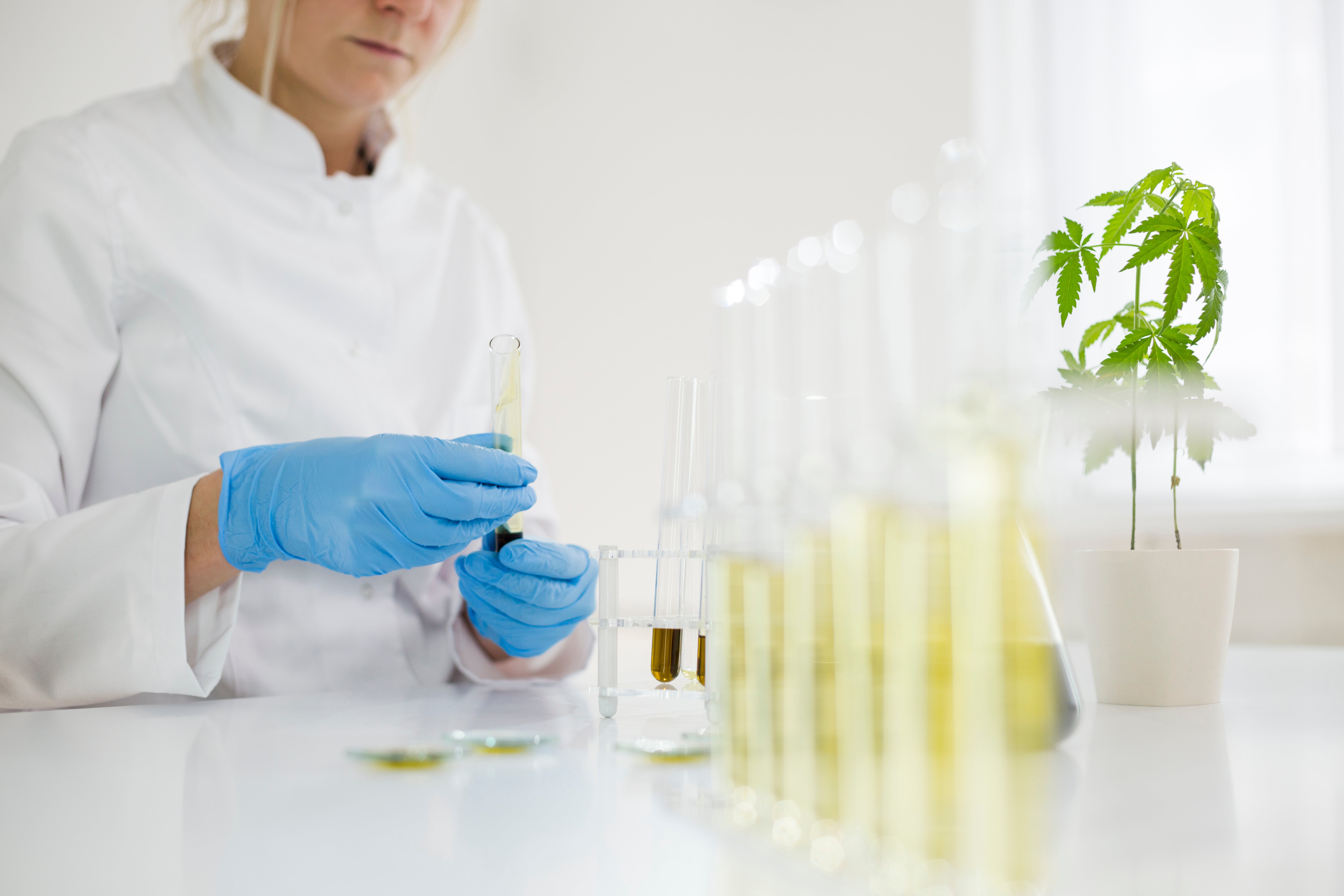 Synthetische Cannabinoide – die Gefahr des künstlichen Highs
