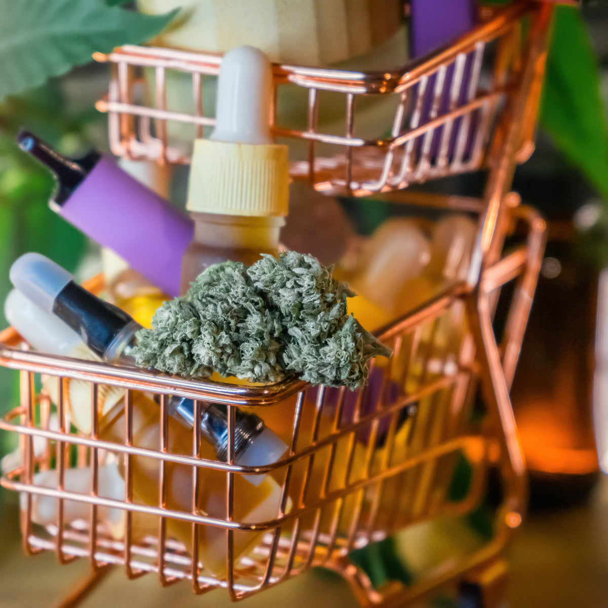 Cannabis verdampfen: Temperatur-Guide fr Vaporizer Cannabis verdampfen: Temperatur-Guide fr Vaporizer