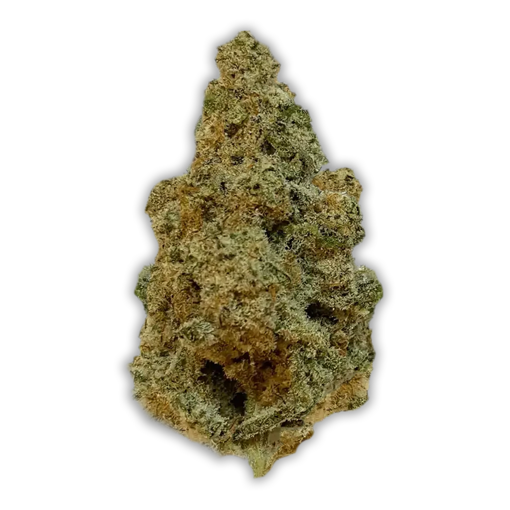 420 Evolution 20/1 CA MAC: MAC 1
