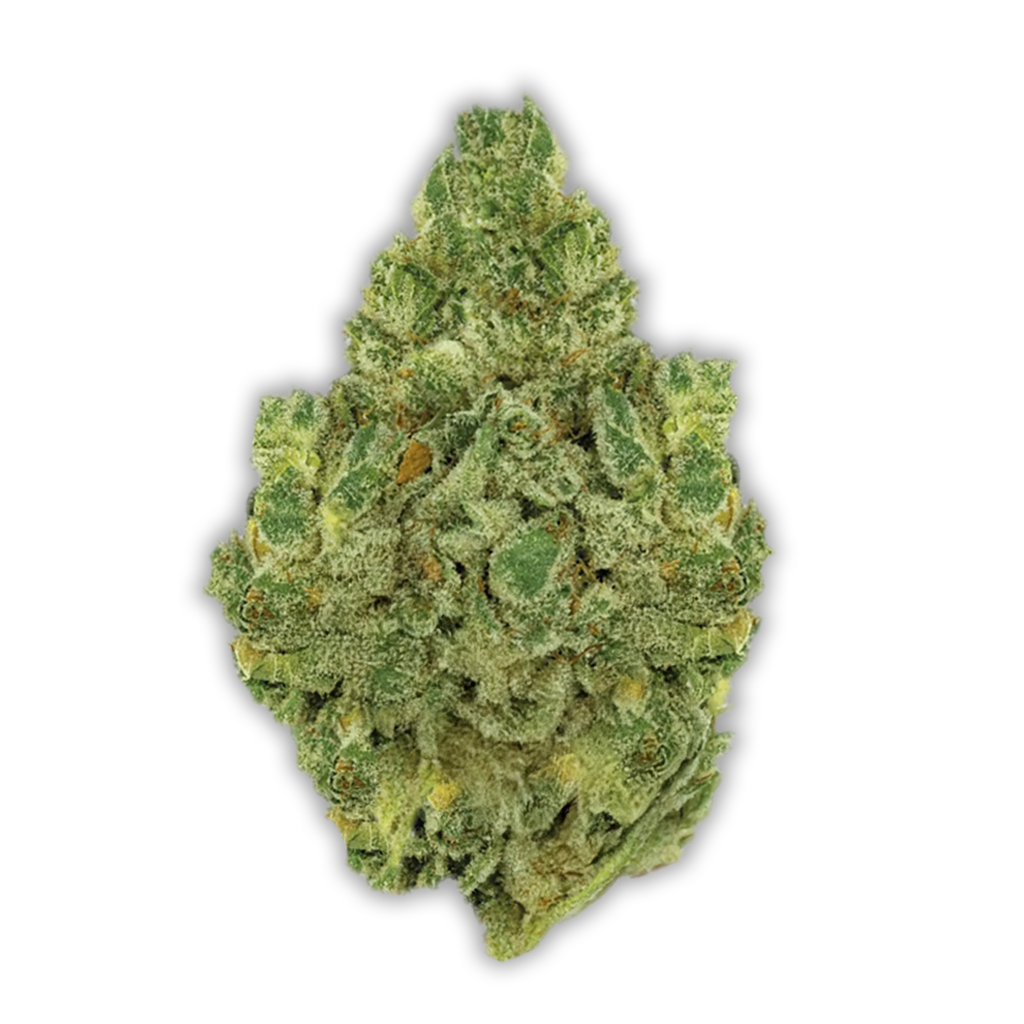420 Natural 20/1 CA GG: Gorilla Glue 4