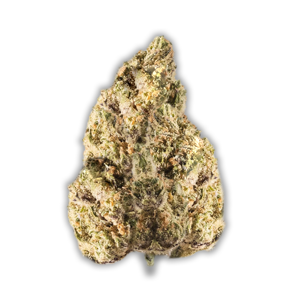 Avaay 15/1 PYC: Peyote Critical