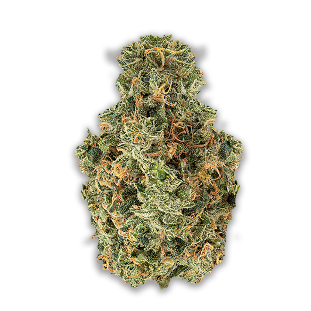 Avaay 32/1 AHC: Amnesia Haze Cake