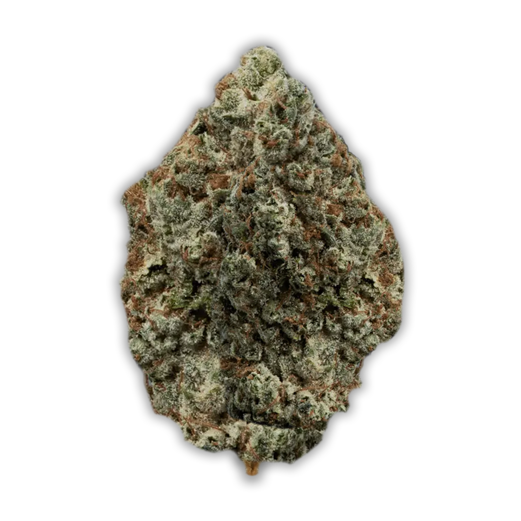 Avaay Khalifa 24/1 KK: Khalifa Kush