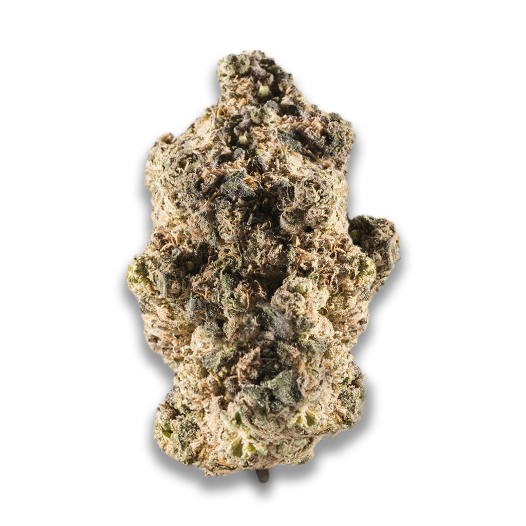 avaay Cannabis - Entdecke Sorten und Produkte im Live-Bestand avaay Cannabis - Entdecke Sorten und Produkte im Live-Bestand