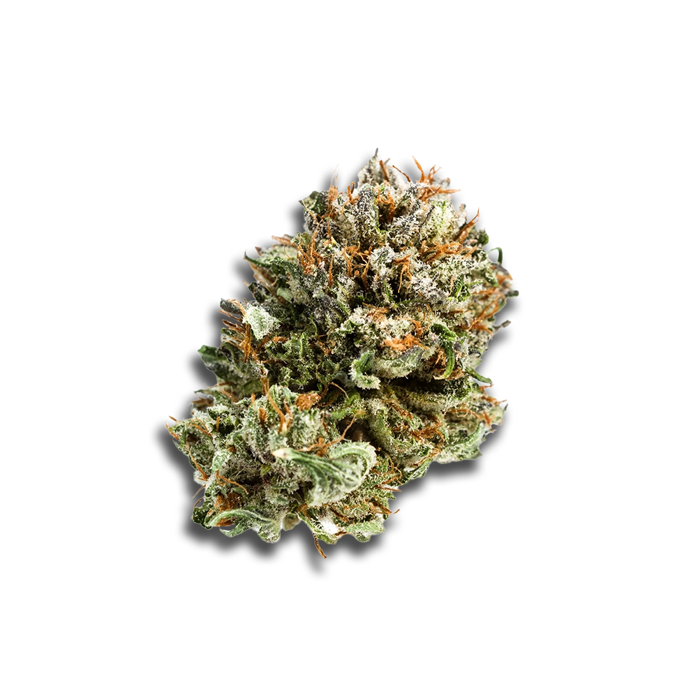Remexian 18/1 ALL: Amnesia Haze