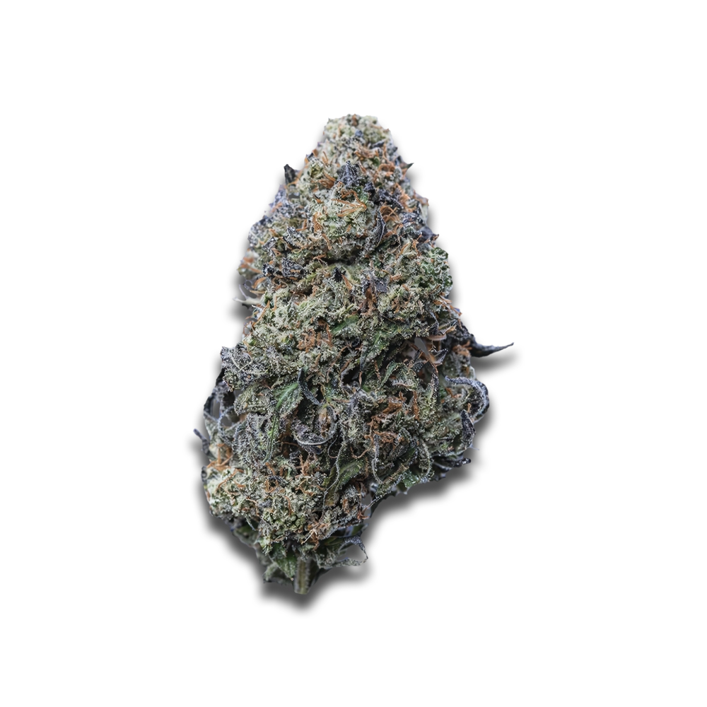 Madrecan 21/1 Gb9 Garlic Budder - Physical Produktfoto