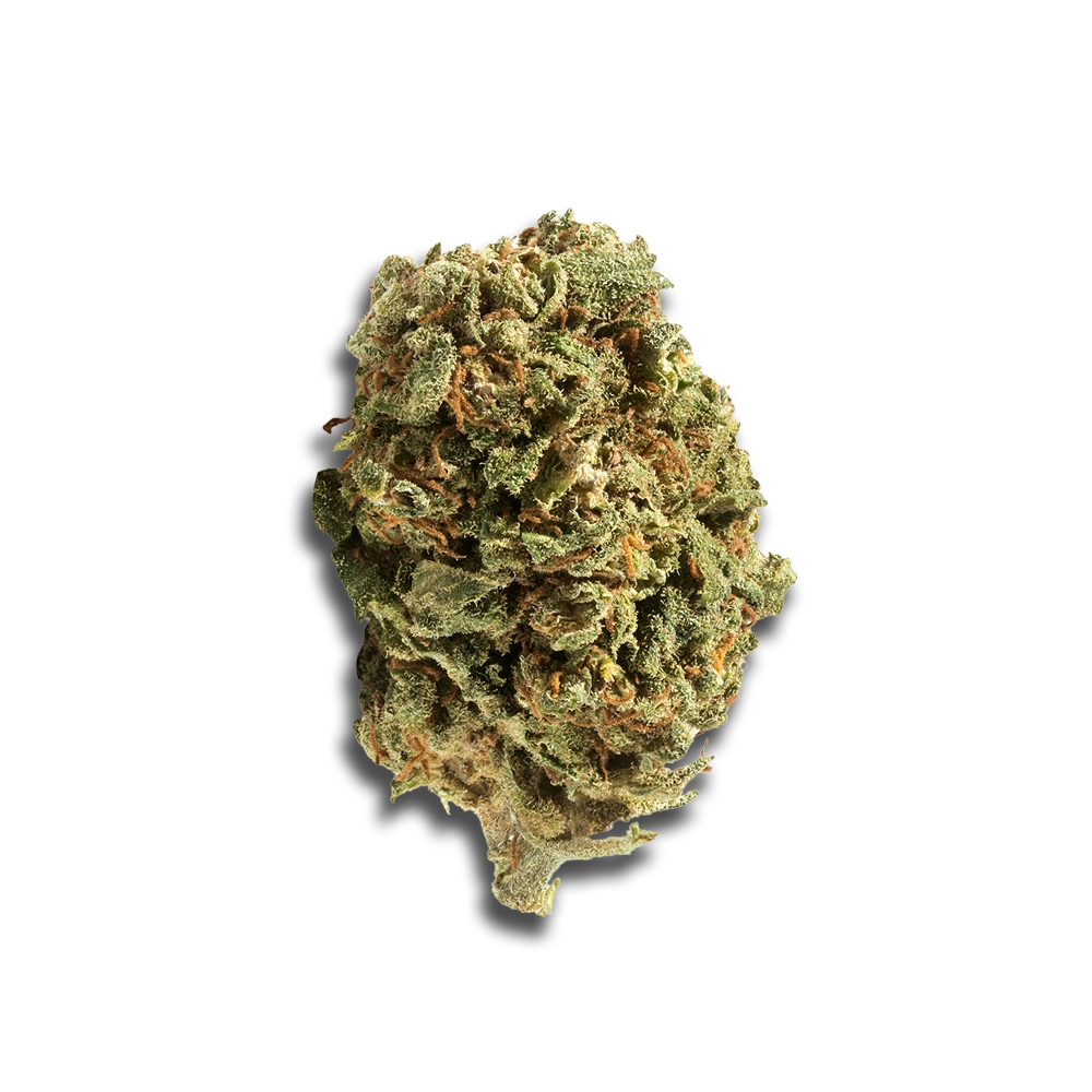 Czech Out 21/1 ORZ: Oreoz