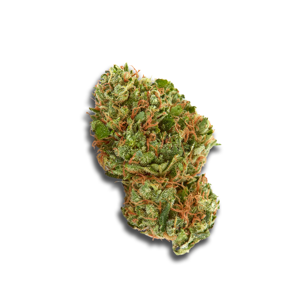 Barongo 30/1 Dynamo Kush Cake