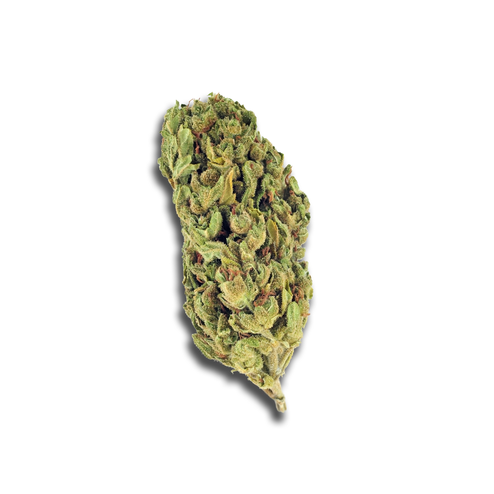 Zoiks 22/1 SLD: Sun Lemon Diesel