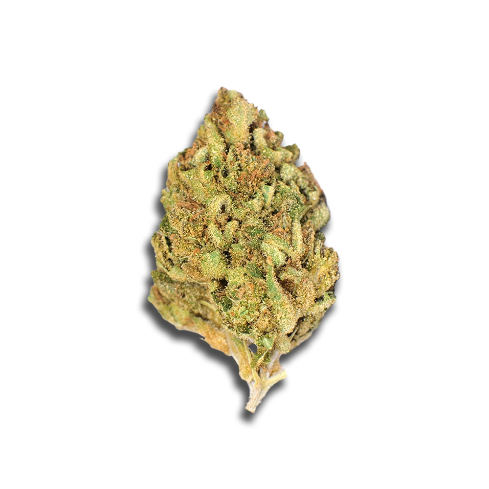 Imc Rwt Thc25 Token White Rhino - Physical Produktfoto