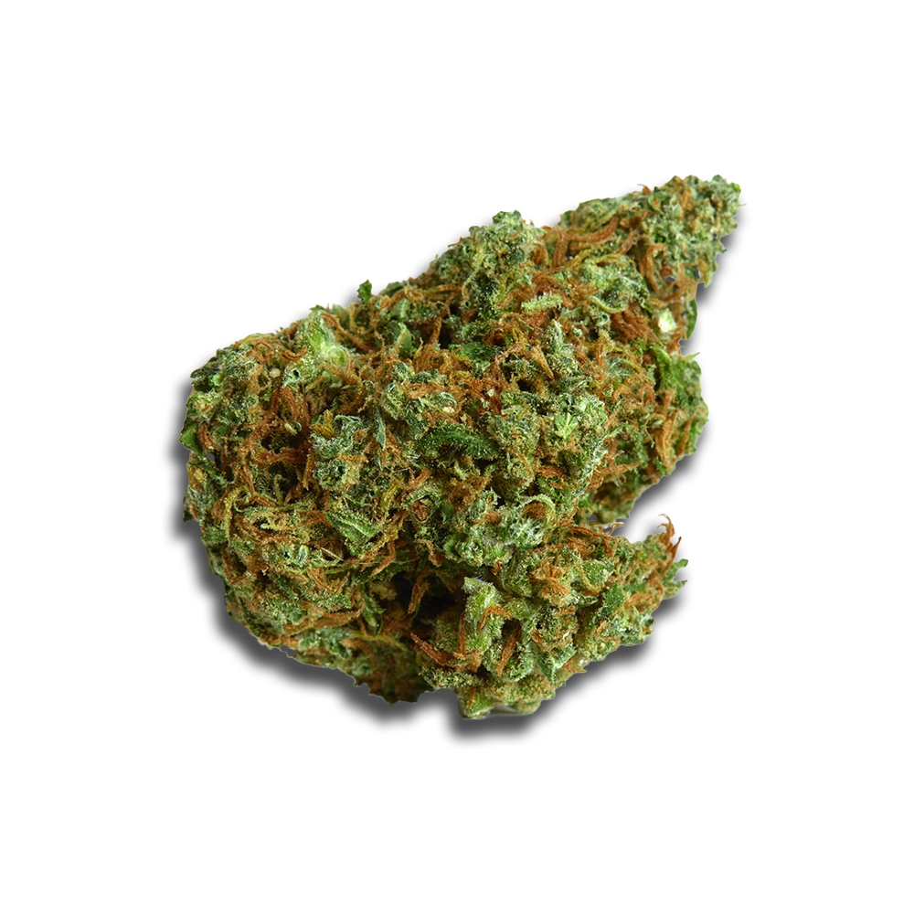 Remexian 22/1 Gg4 Gorilla Glue