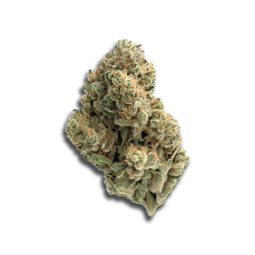 Avaay Signature 23/1 Byy Blueberry Yum Yum