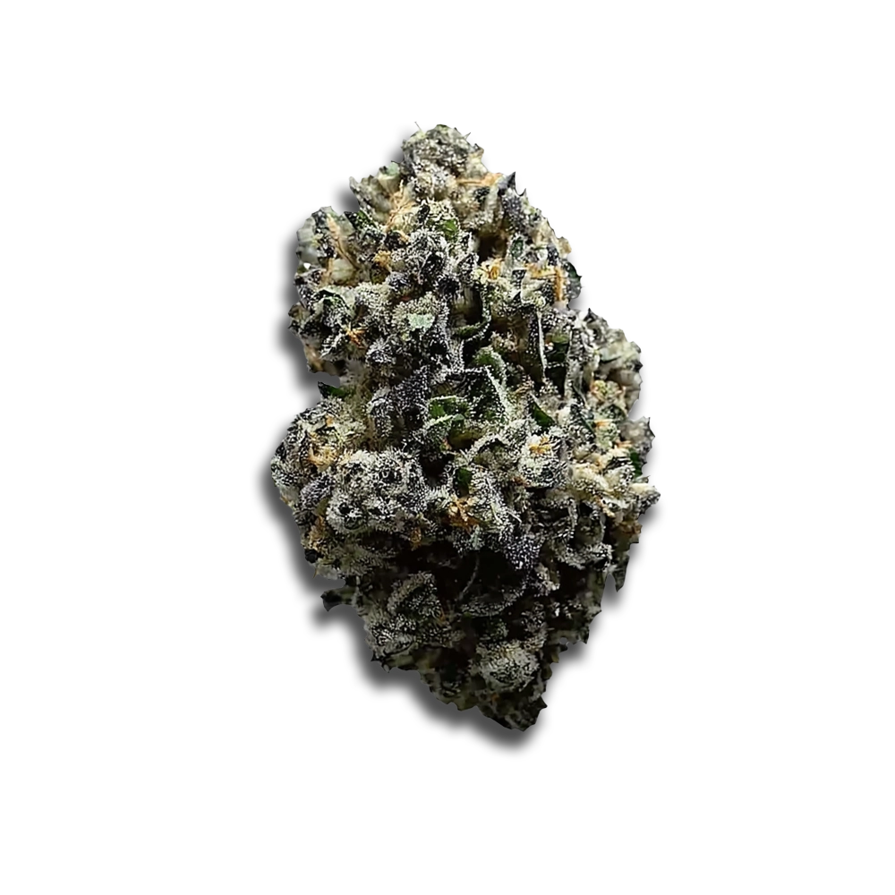 Growmotion Sbc24 Super Buff Cherry