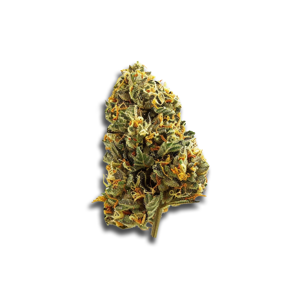 420 Evolution 27/1 Ca Mfg Modified Grapes