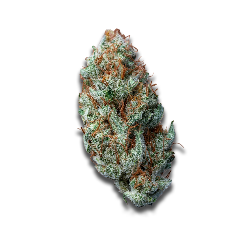 Cannamedical Hybrid Forte DK: Ghost Train Haze