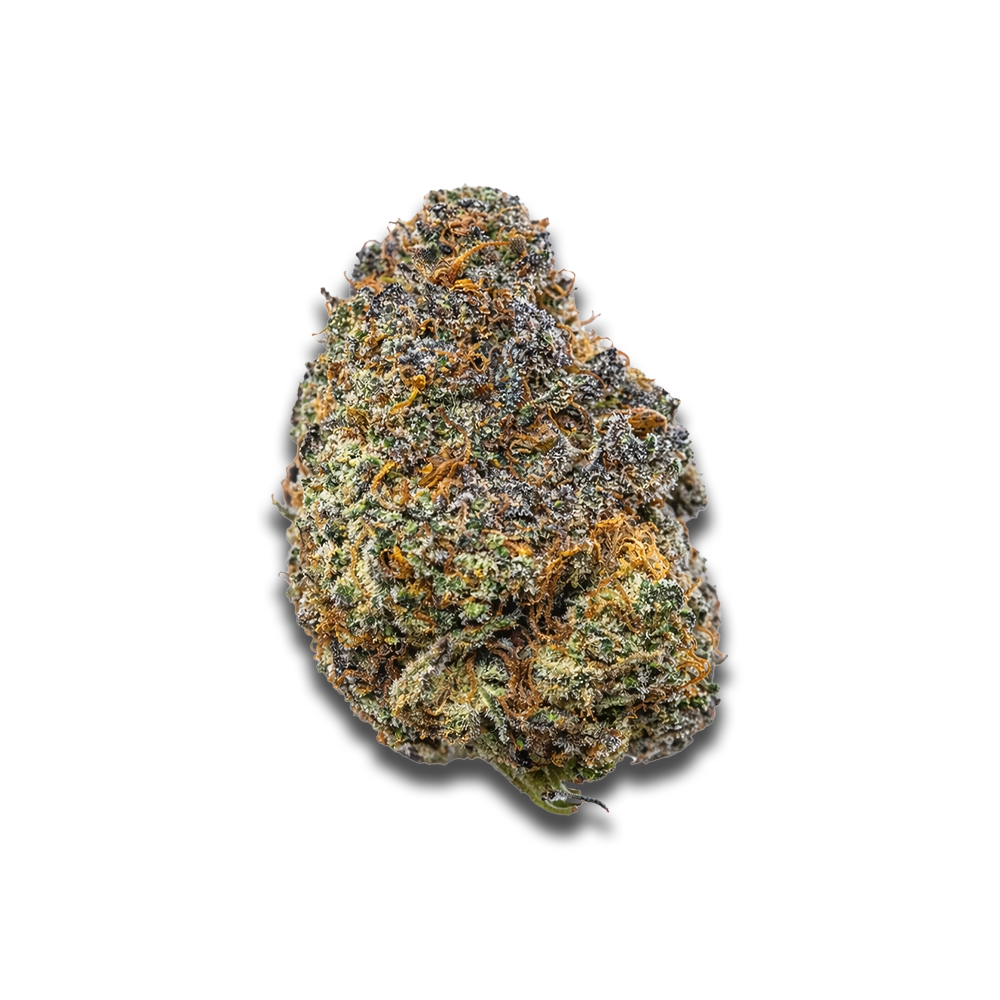 Luana 24/1 Rainbow: Papaya Bomb