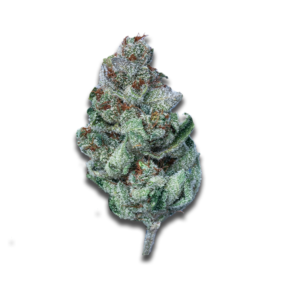 Cannamedical Sativa Classic Sa Jack Herer