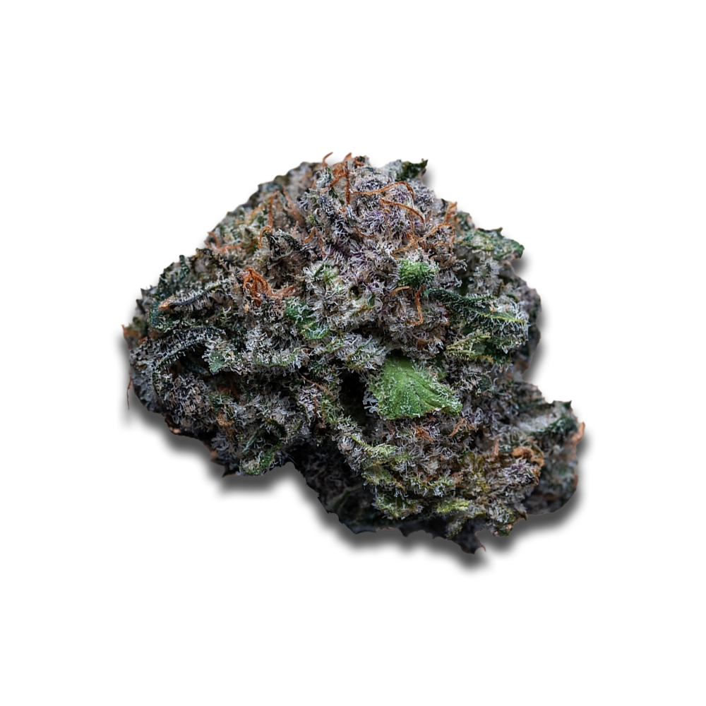 Cannabis flos 28/1 CSF Ku. Cape Venin