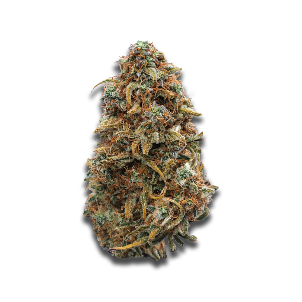 Khiron ELG 30/1: El Gordo