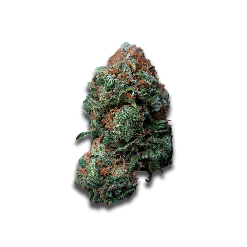 Medical Saints 18/1 HUB: Huckleberry