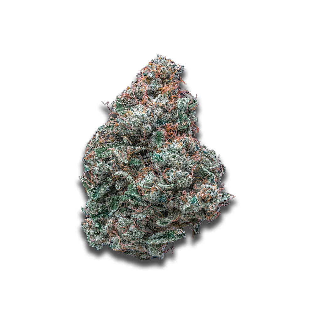 Luana 27/1 Donny B: Bunatic