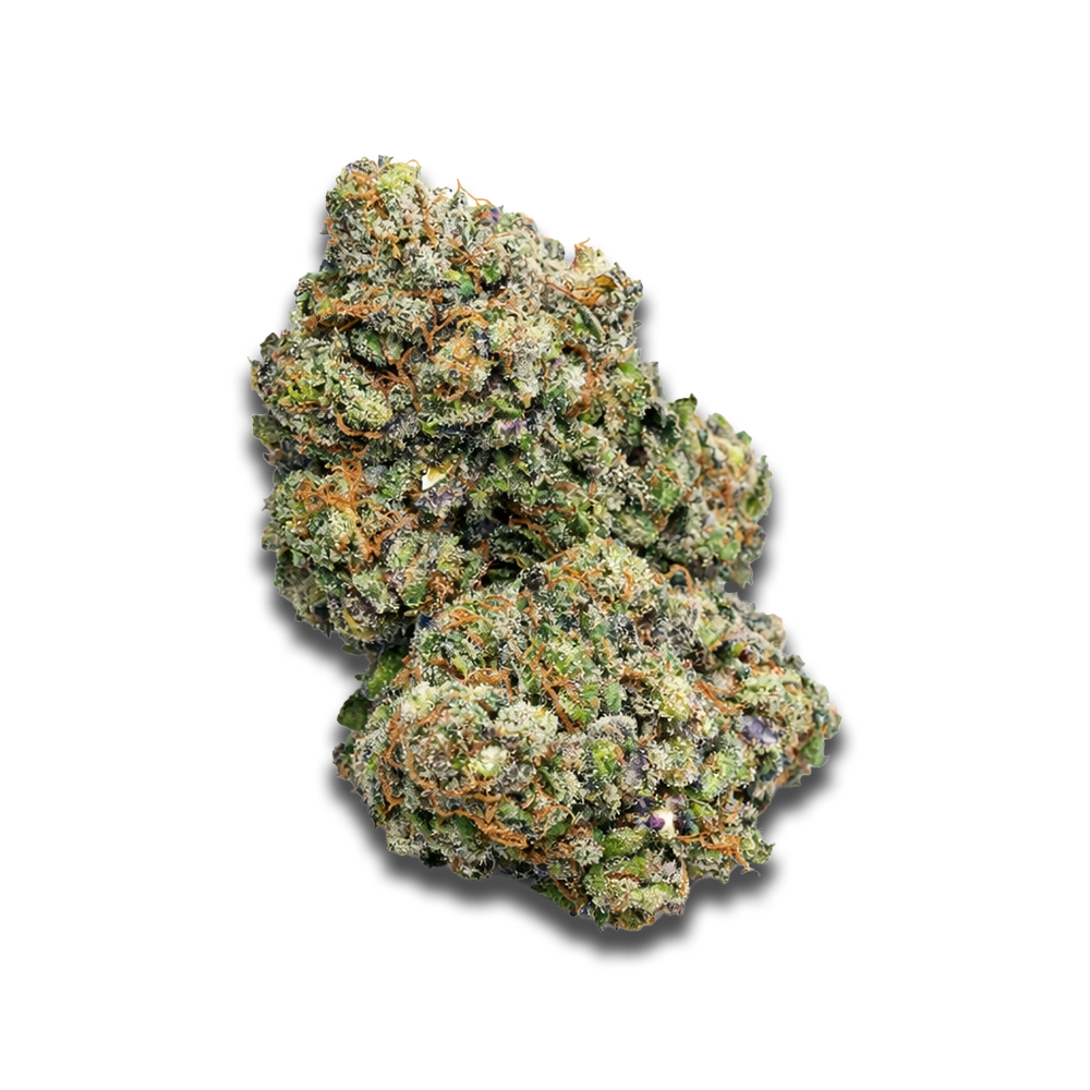 Czech Out 27/1 PMM: Permanent Marker