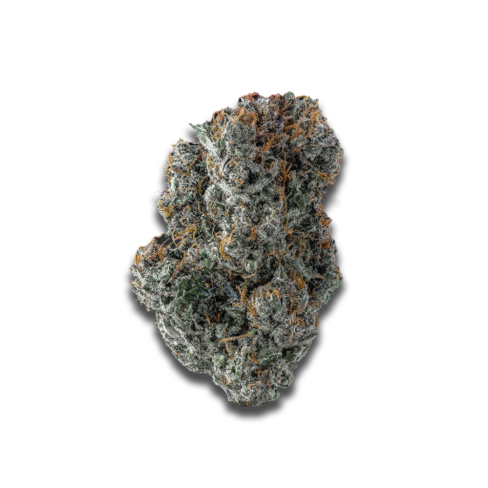 Luana 20/1 GSC: Girl Scout Cookies