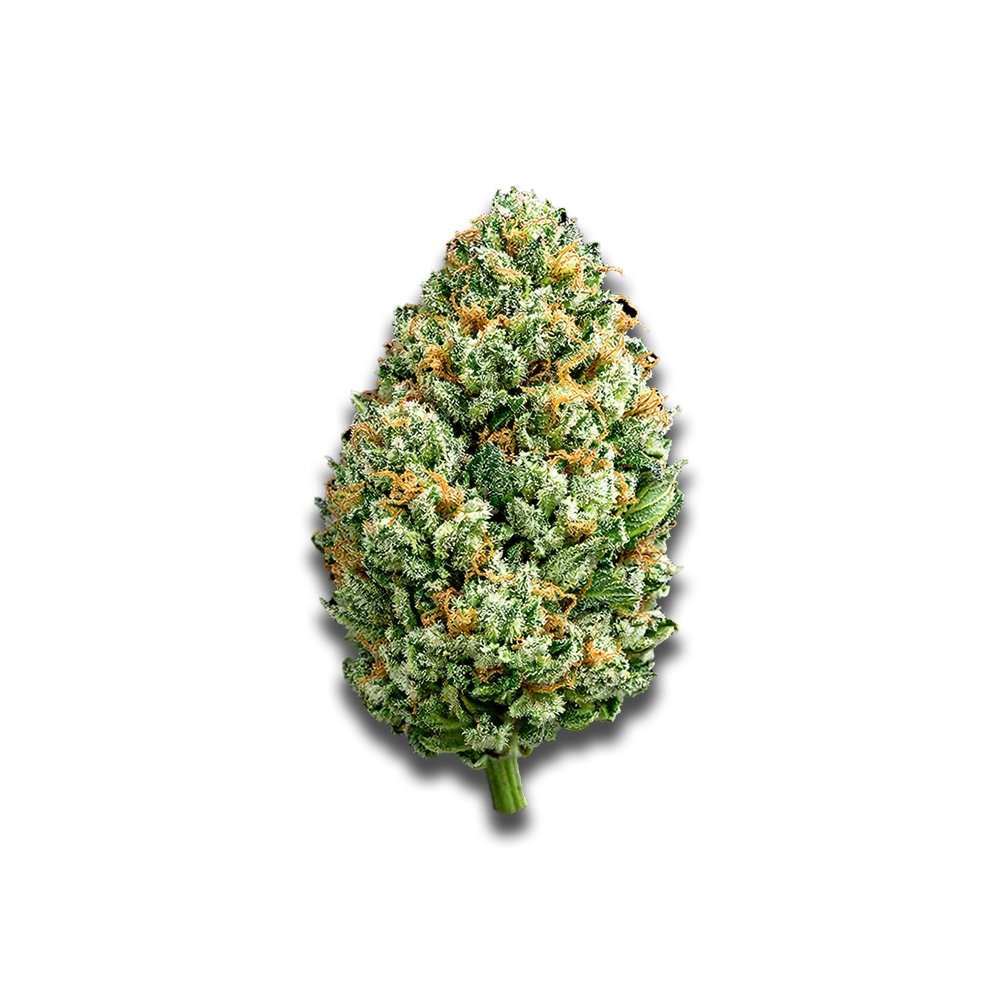 Imc Thc25 T02 Og Kush
