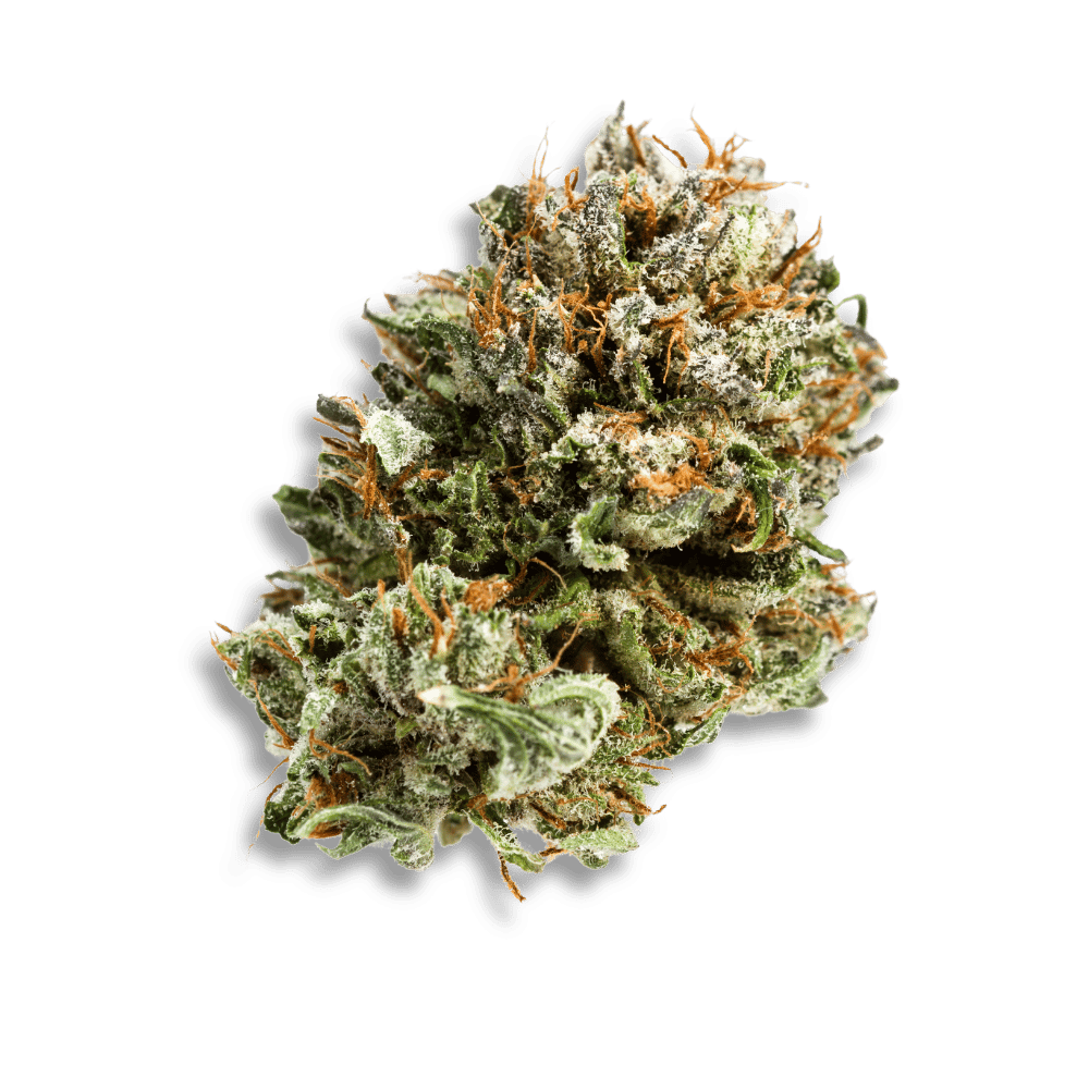 Cannamedical Hybrid Ultimate Sf Afghan Bubba Kush