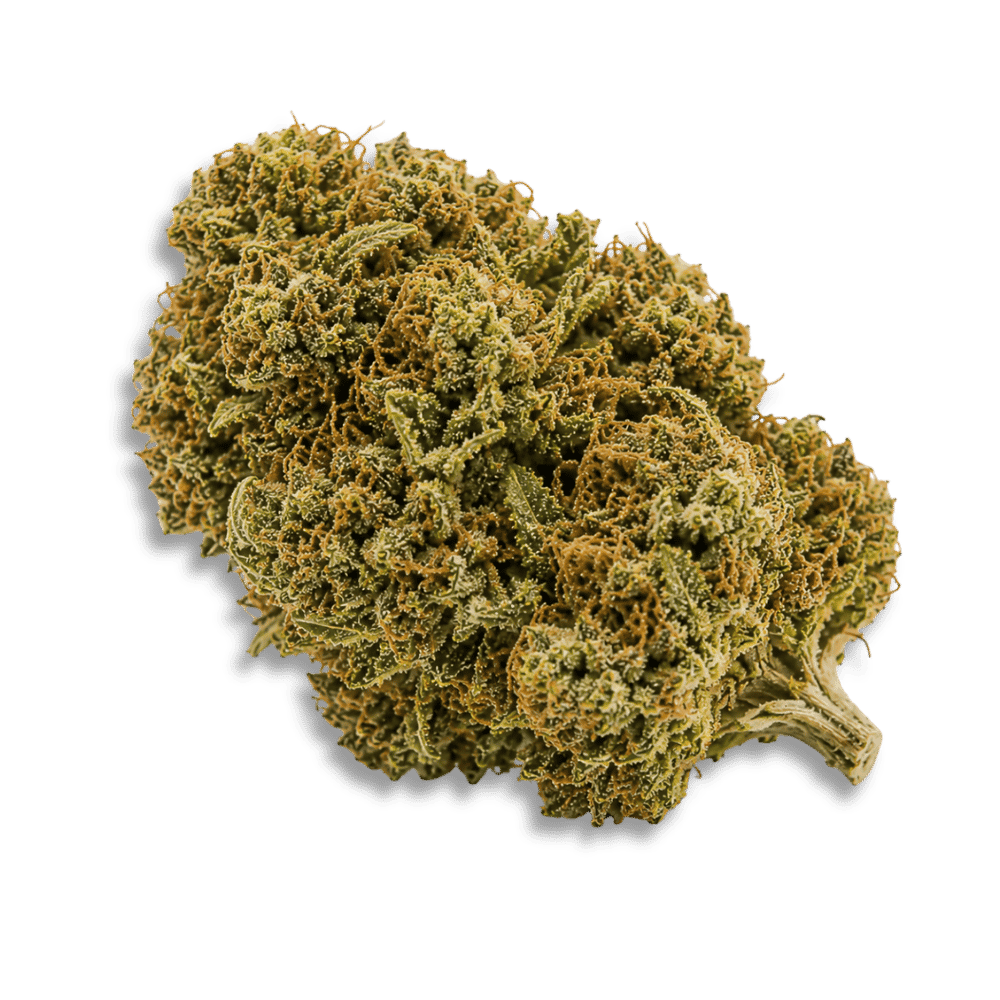 Demecan Mc Regular Drop Royal Cake