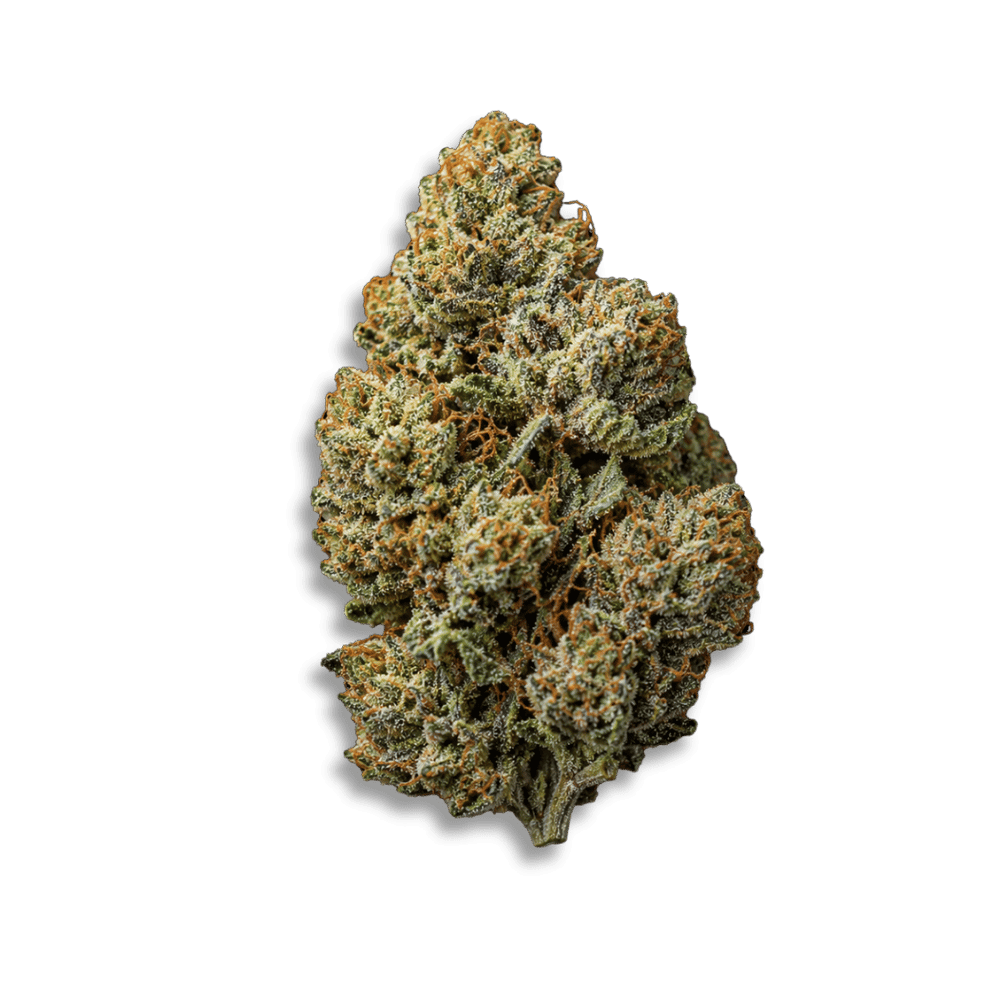 Phcann Exotics 30/1 Black Amber