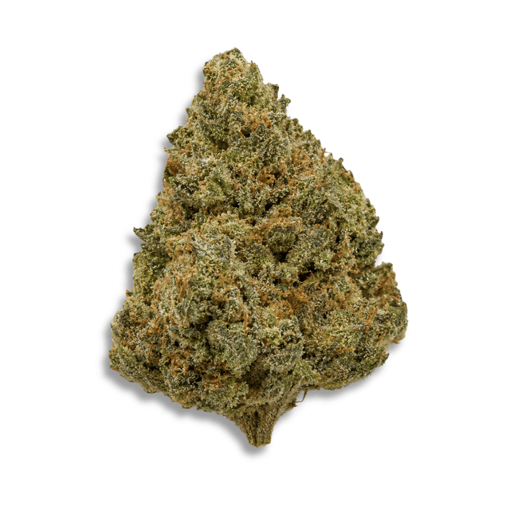 Einzelne Cannabisblüte mit natürlicher, unregelmäßiger Struktur.