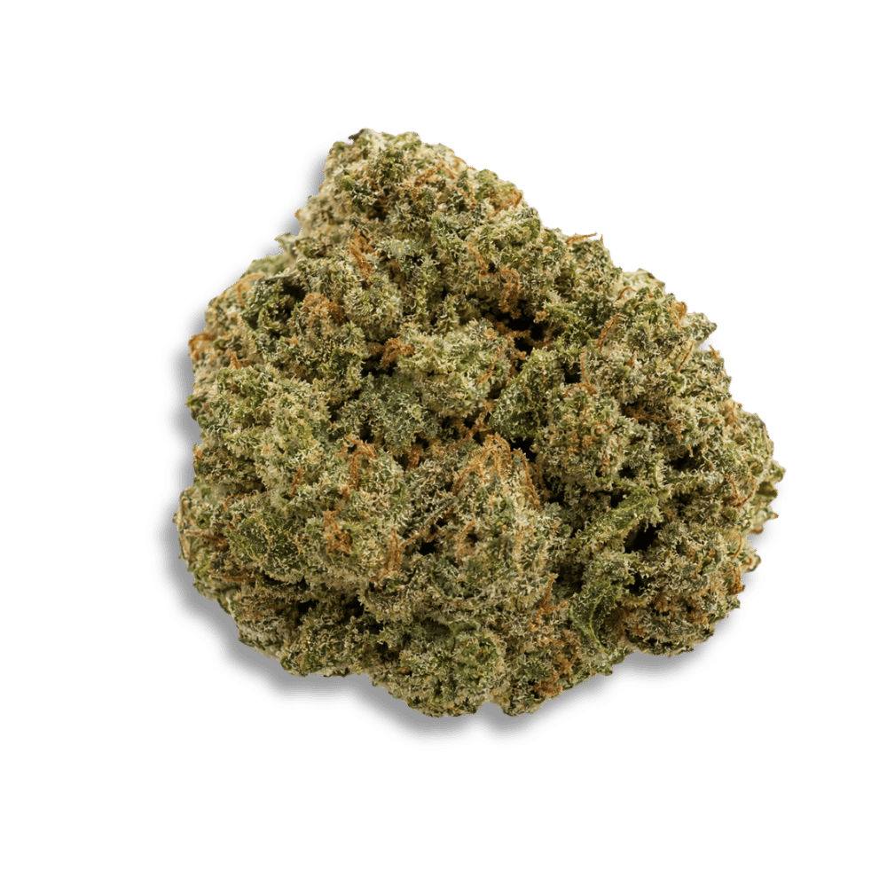 Nahansicht einer getrockneten Cannabisblüte mit sichtbarer Oberflächenstruktur.