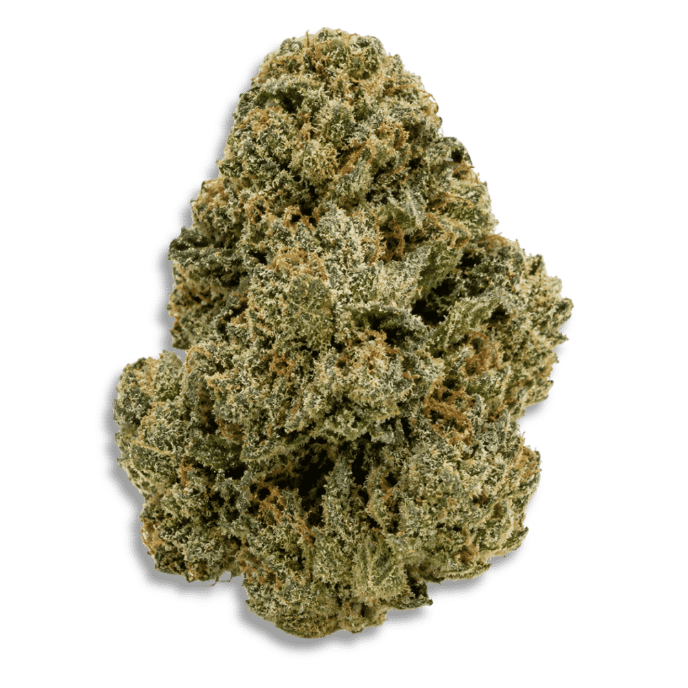 Kush Mountain Craft 27/1 Gth Ghost Train Haze