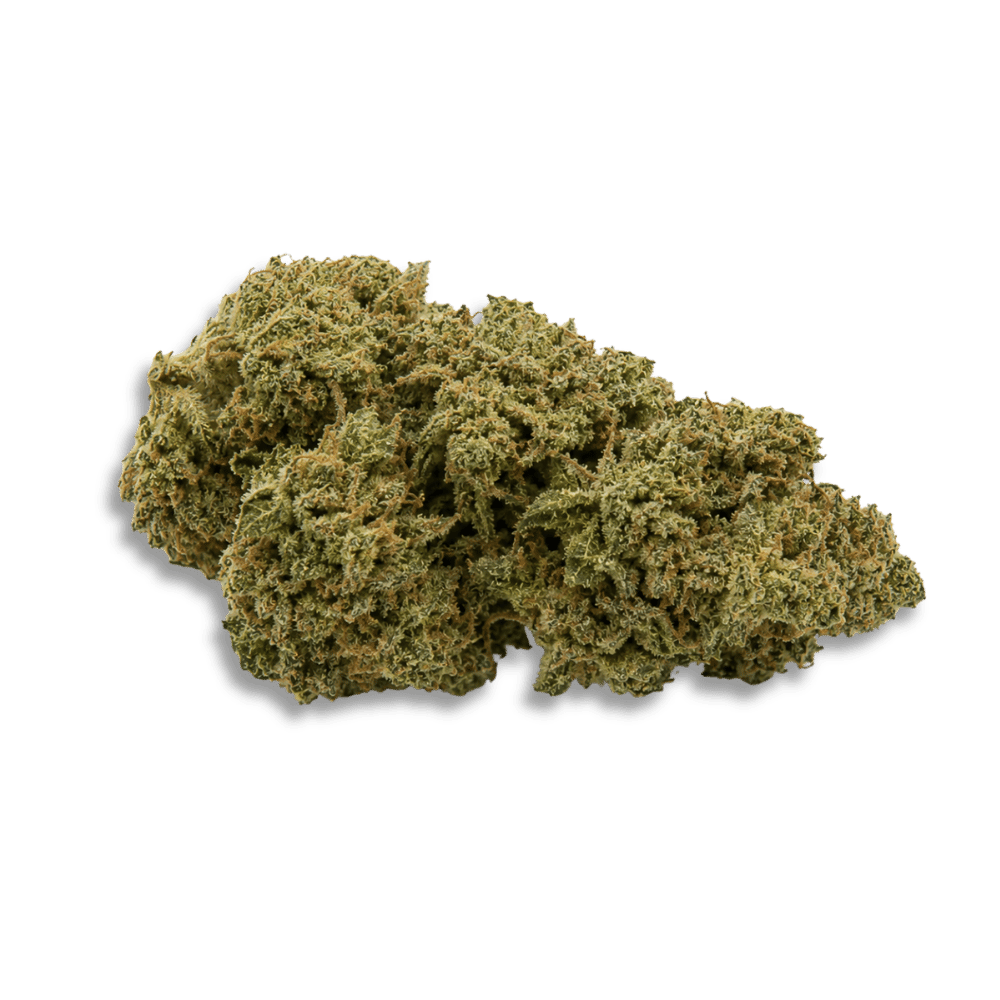 Hidealz 24/1 Ms Honeydew Haze Smalls