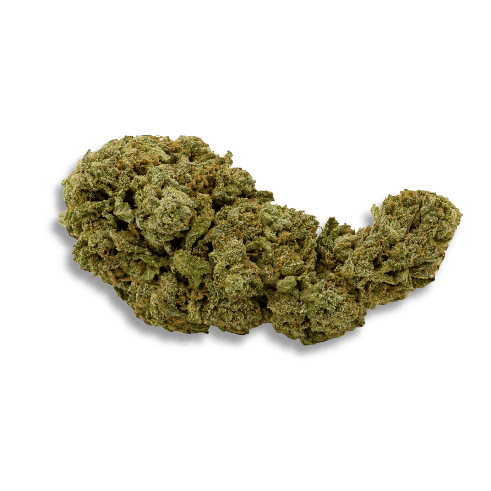 Phcann Exotics 32/1 Spritzer