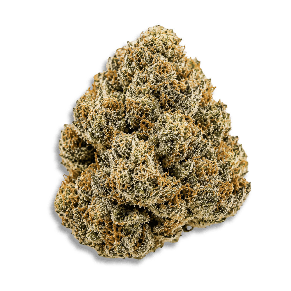 Enua 30/1 Sf4 Ca Cgg Cherry Gelato Gushers