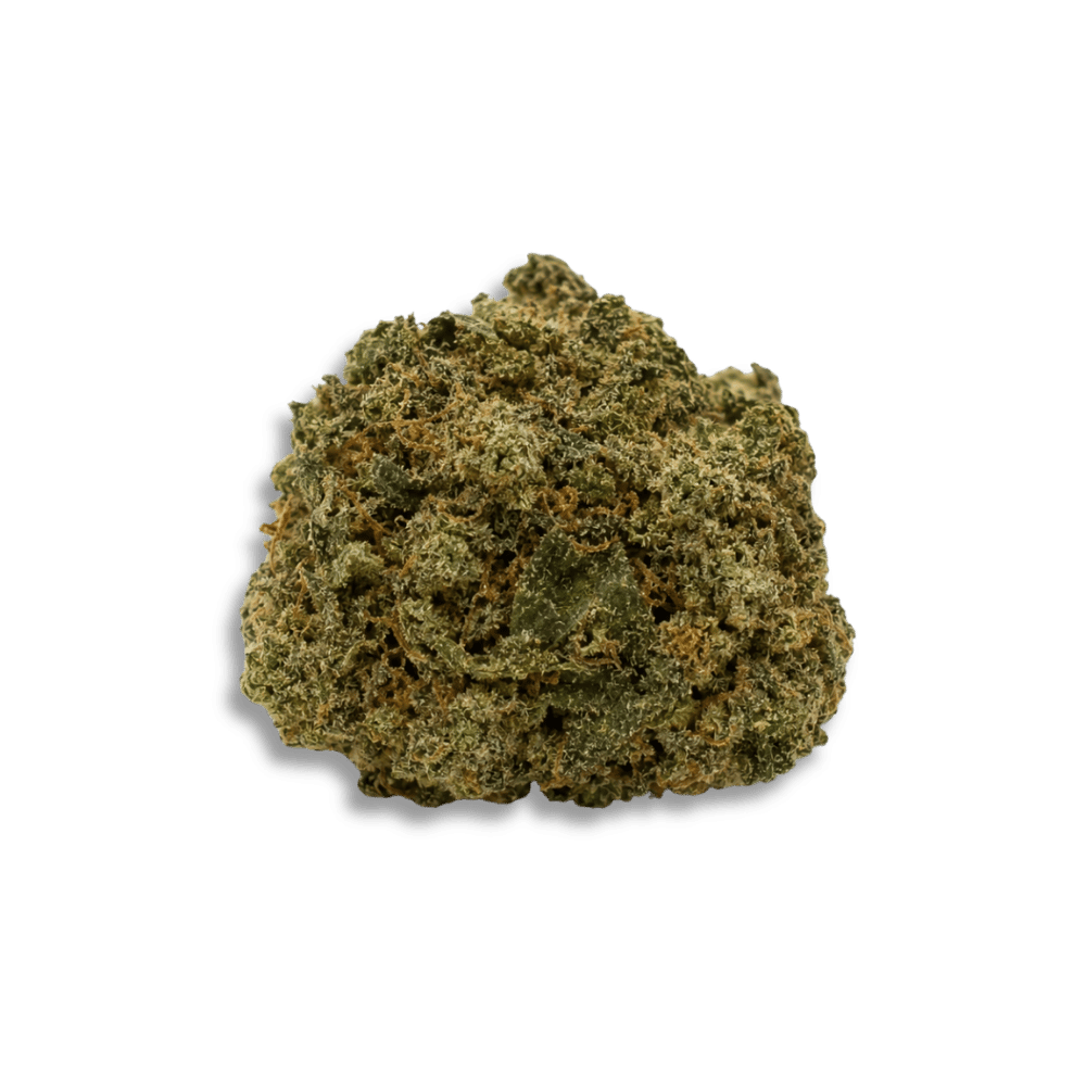 Medical Saints 24/1 Acb Acai Berry