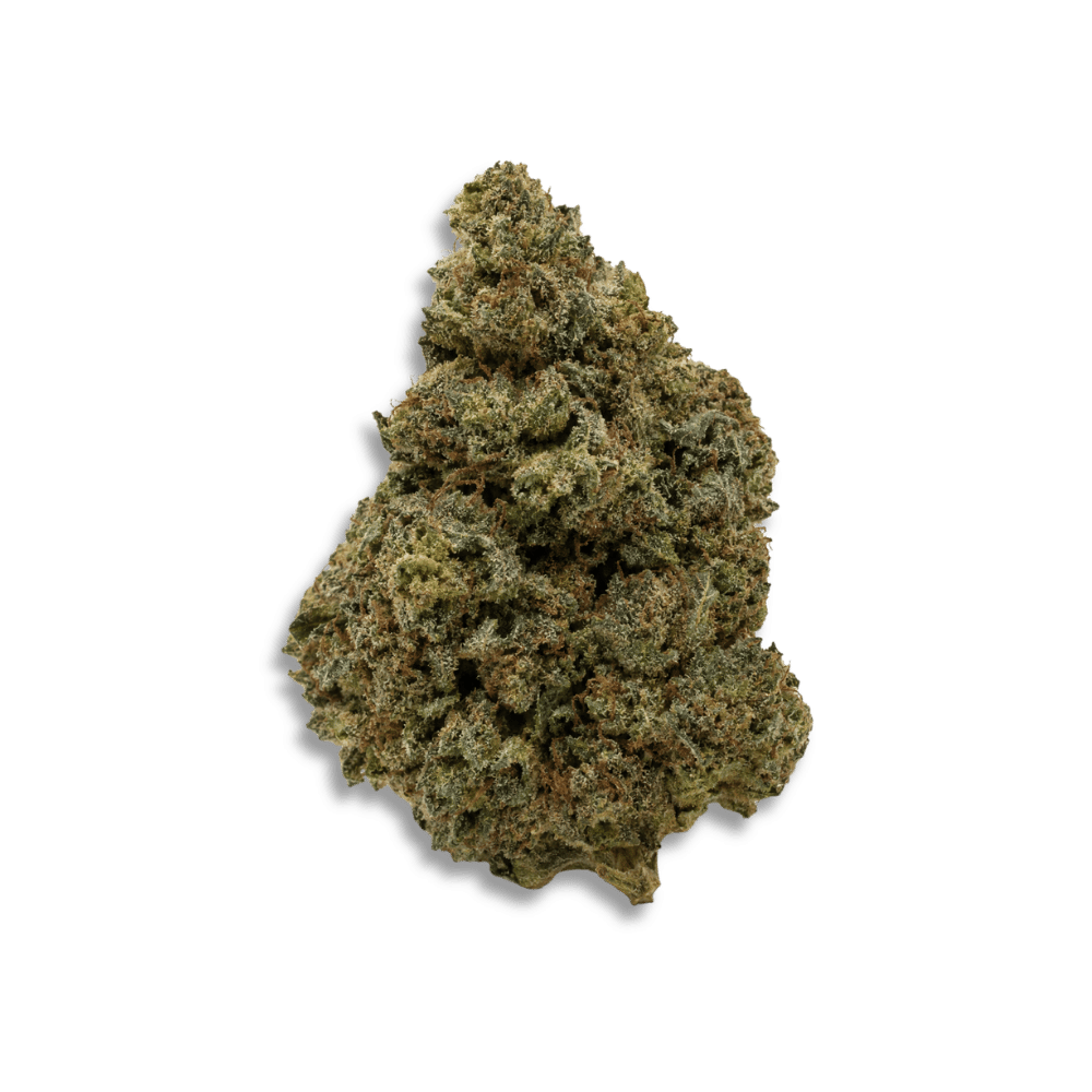 San Raf 31/1 Cfk Campfire Kush