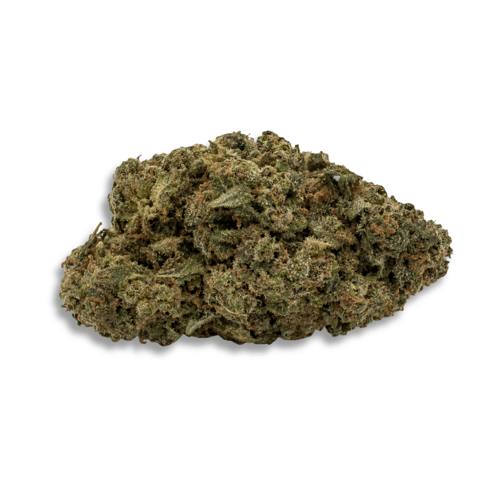 Medical Saints 24/1 Mc1 Mac 1