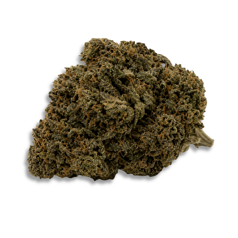 Luana 20/1 Og Watermelon