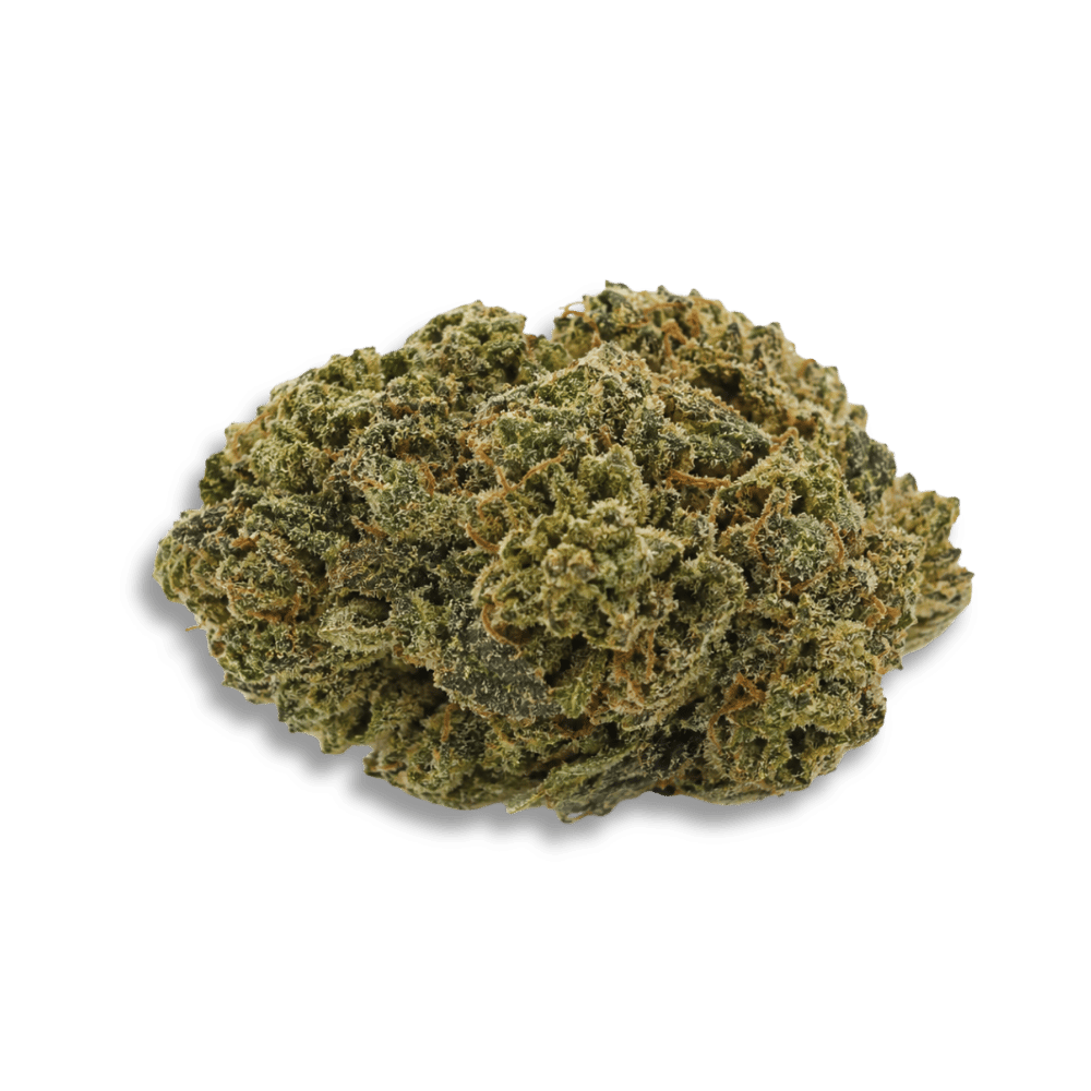 Enua 30/1 Ps3 Ca Myc Minty Cookies