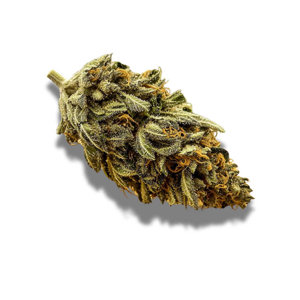 420 Compound 33/1 CA GAP: Gastro Pop