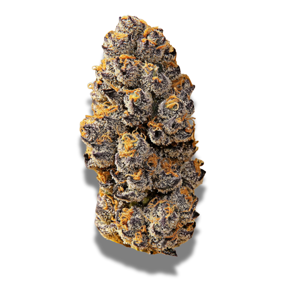 CNBS VV 30/1: Varnish Vapor