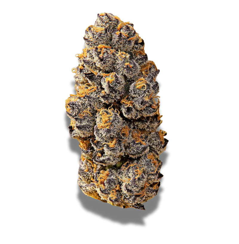 Bathera 28/1: Facetz