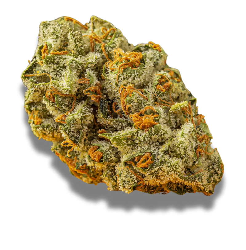 Cannabis flos 18/1 UY Ku. Big Buddah Canify