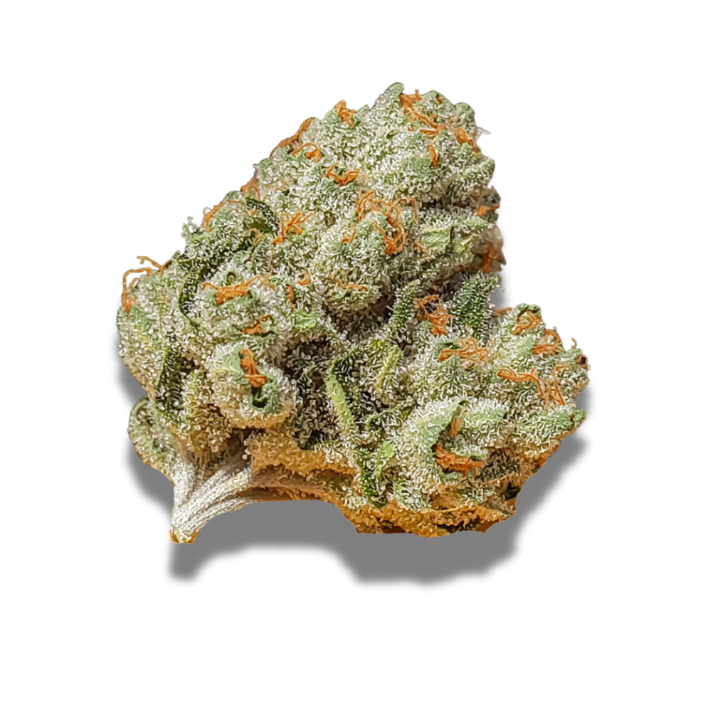 420 Compound 30/1 CA GAP: Gastro Pop